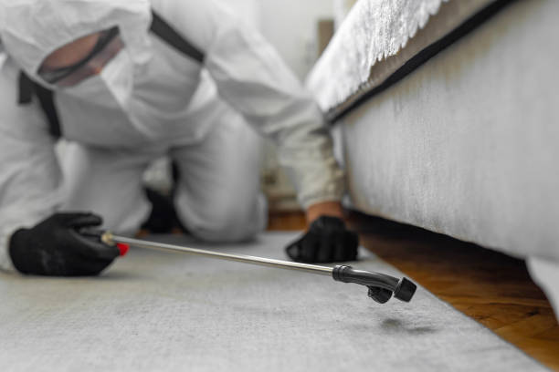 Professional Bed Bug Control technician working in New Rochelle, NY