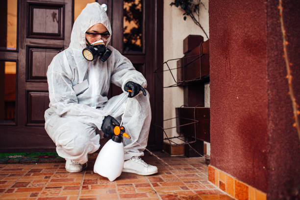 Reliable Bed Bug Control contractor in New Rochelle, NY by Nex Pest Control