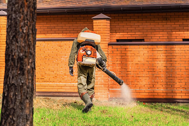 Trusted Bed Bug Control service in New Rochelle, NY - Nex Pest Control